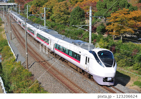 常磐線　赤塚－偕楽園　JR東日本　E657系　K12編成（勝田）　スーパーひたち 123206624