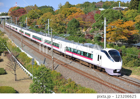 常磐線 赤塚-偕楽園 JR東日本 E657系 K14編成(勝田) スーパーひたち 常磐線 赤塚-偕楽園 JR東日本 E657系 K14編成(勝田) スーパーひたち 123206625