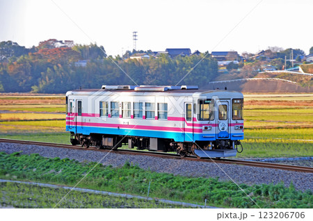 ひたちなか海浜鉄道　金上－中根　ミキ300-102 123206706