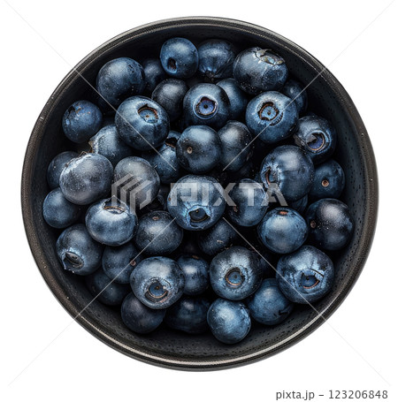 Bowl with Blueberries 123206848