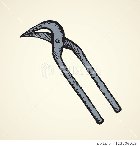Starfish. Vector drawing Starfish. Vector drawing 123206915