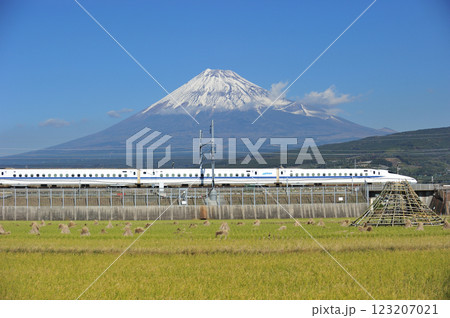 東海道新幹線 三島ー新富士 JR東海 N700系 のぞみ ひかり こだま 東海道新幹線 三島ー新富士 JR東海 N700系 のぞみ ひかり こだま 123207021