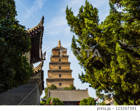 Scenic view of giant wild goose pagoda, Xian, China 123207391