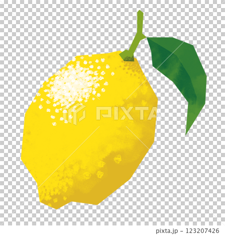 Lemon in paper cut style 123207426
