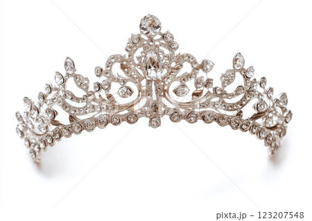 Silver tiara isolated on white background 123207548