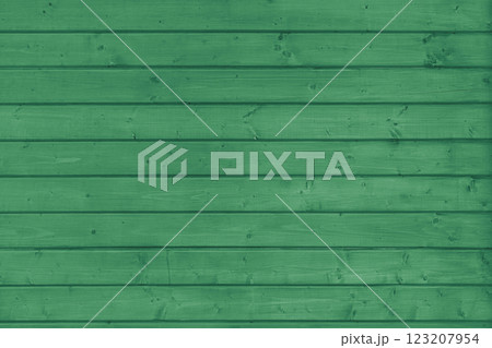 Wooden vertical green painted plank texture, timber background, wall panels suface 123207954