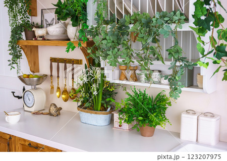 Stylish kitchen corner featuring plants, utensils, and vintage scales for cozy spring atmosphere Stylish kitchen corner featuring plants, utensils, and vintage scales for cozy spring atmosphere 123207975