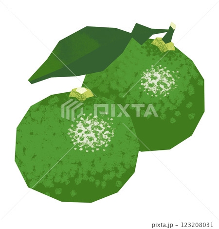 切り絵風のかぼす 123208031