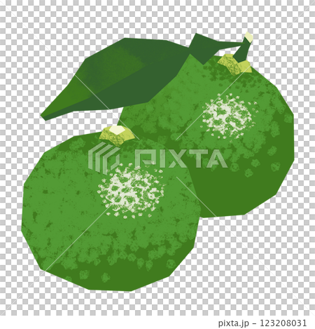 Paper-cut style kabosu Paper-cut style kabosu 123208031