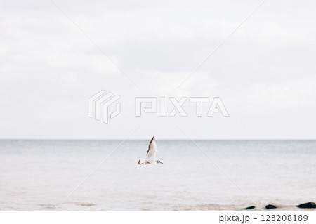 Early morning sunrise over the sea . Some clouds. 123208189