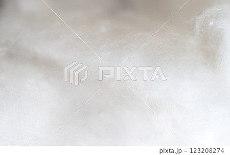 white cotton wool background white cotton wool background 123208274