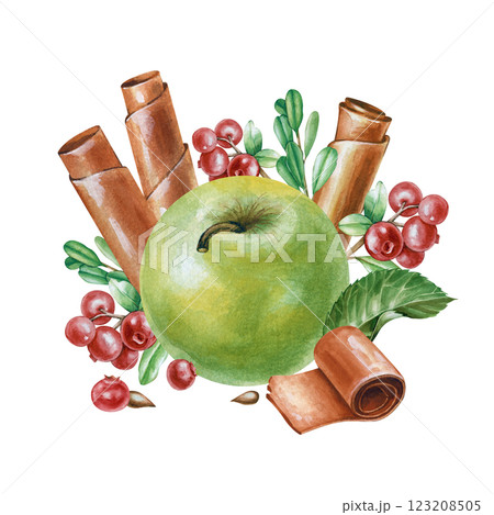 Watercolor composition with a large green apple, apple fruit paste, cranberry twigs and green leaves. The botanical illustration is hand-drawn and isolated on a white background. Watercolor composition with a large green apple, apple fruit paste, cranberry twigs and green leaves. The botanical illustration is hand-drawn and isolated on a white background. 123208505