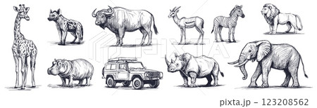 Safari animals. Hand drawn african lion rhino elephant hyena buffalo hippo giraffe gazelle car set vector illustration 123208562
