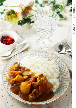 チキンカレー チキンカレー 123208667