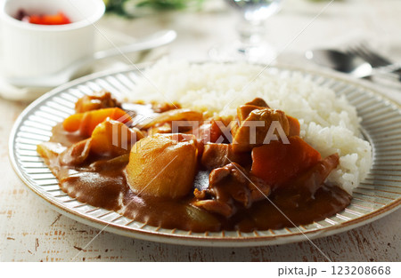 チキンカレー 123208668