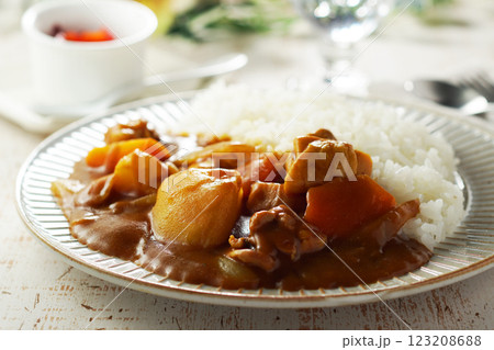 チキンカレー チキンカレー 123208688