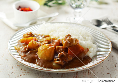 チキンカレー 123208692