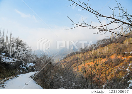 Mountainous landscape with view of slope behind branches of trees, illuminated by sun rays at sunset and bathed in orange light on background of mountain peaks barely obscured by low clouds and haze Mountainous landscape with view of slope behind branches of trees, illuminated by sun rays at sunset and bathed in orange light on background of mountain peaks barely obscured by low clouds and haze 123208697