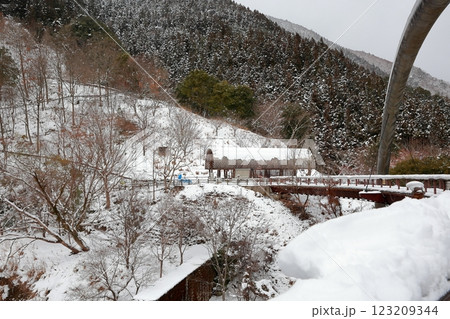 雪が降った祖谷　徳島 123209344