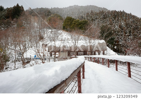 雪が降った祖谷　徳島 123209349