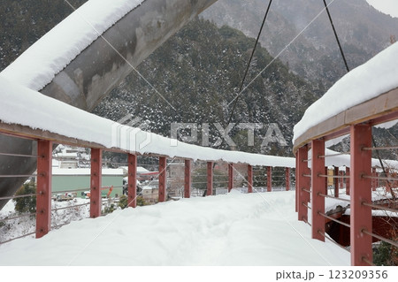 雪が降った祖谷 徳島 雪が降った祖谷 徳島 123209356