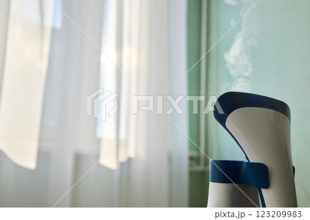 Steam Vaporizer Designed Specifically for Home Use for Enhanced Comfort and Wellness Benefits 123209983