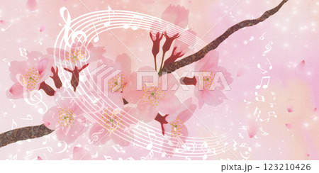 満開の桜の花の背景素材 123210426