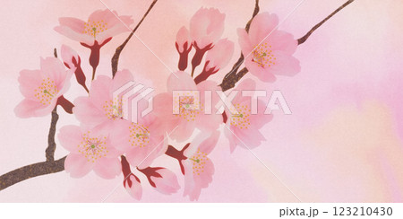 満開の桜の花の背景素材 123210430