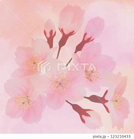 満開の桜の花の背景素材 123210433