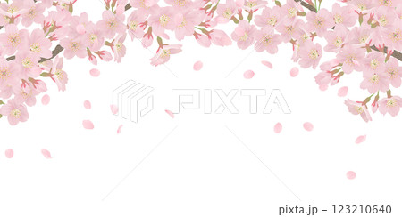 枝に咲く桜の花のイラストセット 123210640