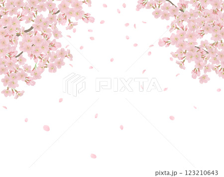 枝に咲く桜の花のイラストセット 枝に咲く桜の花のイラストセット 123210643