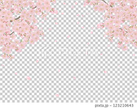枝に咲く桜の花のイラストセット 枝に咲く桜の花のイラストセット 123210643
