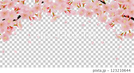 枝に咲く桜の花のイラストセット 123210644