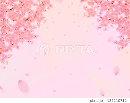 満開の桜の花の背景素材 満開の桜の花の背景素材 123210712