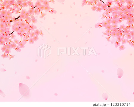 満開の桜の花の背景素材 満開の桜の花の背景素材 123210714