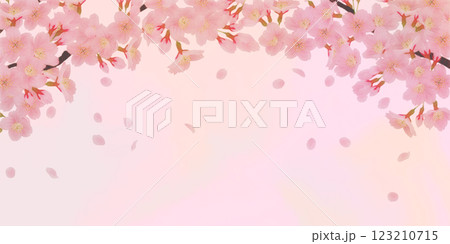 満開の桜の花の背景素材 満開の桜の花の背景素材 123210715