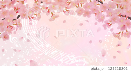 満開の桜の花の背景素材 123210801