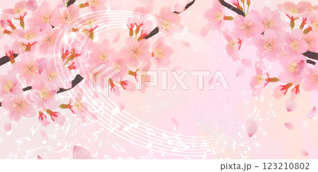 満開の桜の花の背景素材 満開の桜の花の背景素材 123210802