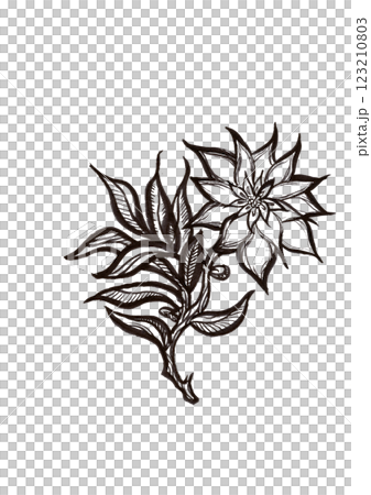 花、植物など（素材・イラスト・ビジュアルアート含む） 123210803