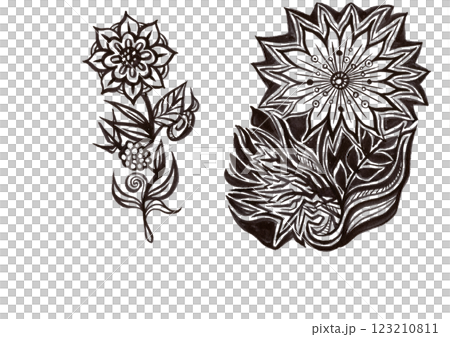 花卉、植物等(包括材料、插圖和視覺藝術) 花卉、植物等(包括材料、插圖和視覺藝術) 123210811