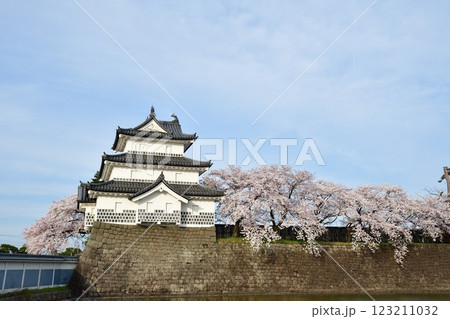 春の新発田城と桜（新潟県） 123211032