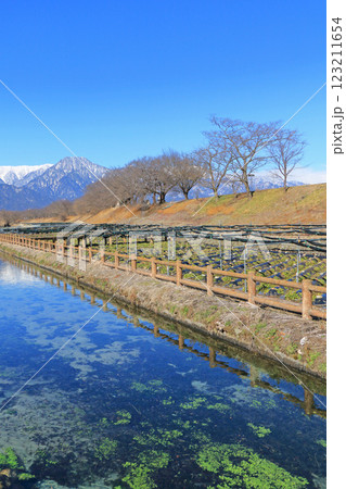 安曇野早春賦　穂高川わさび園 123211654