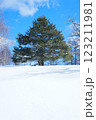 雪原に佇む 123211981
