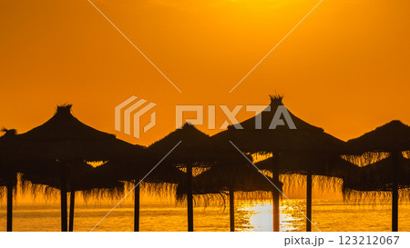 Sunrise view from Malaga seaside city in Andalusia, Spain, Europe. Silhouette of beach umbrellas at sunrise, golden hour light reflecting on calm ocean waters. Peaceful and serene coastal scene. 123212067
