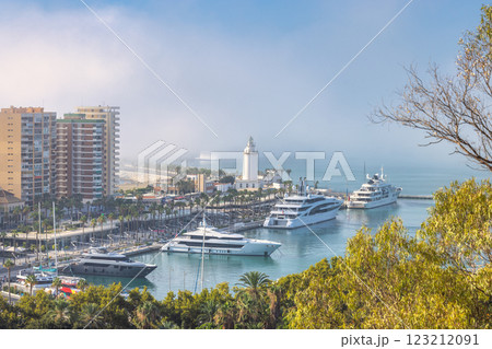 Malaga, seaside city in Andalusia, Spain, Europe. Luxury yachts docked in a vibrant coastal city marina, surrounded by high-rise buildings and lush greenery under a clear sky. Malaga, seaside city in Andalusia, Spain, Europe. Luxury yachts docked in a vibrant coastal city marina, surrounded by high-rise buildings and lush greenery under a clear sky. 123212091