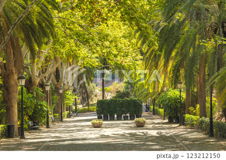 The Historical Botanical Garden La Concepcion in Malaga city at Andalusia, Spain, Europe. Sunlit park path lined with palm trees and benches, creating a tranquil and inviting atmosphere. 123212150