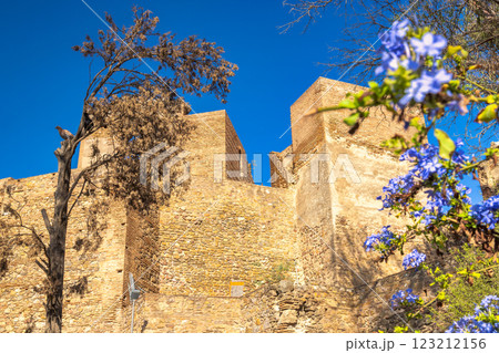 Alcazaba, palace and fortification in Malaga city at Andalusia, Spain, Europe. Ancient stone walls under a clear blue sky, with a tree and purple flowers in the foreground. Alcazaba, palace and fortification in Malaga city at Andalusia, Spain, Europe. Ancient stone walls under a clear blue sky, with a tree and purple flowers in the foreground. 123212156