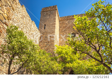 Alcazaba, palace and fortification in Malaga city at Andalusia, Spain, Europe. Ancient stone tower and walls, surrounded by lush citrus trees under a bright blue sky. Alcazaba, palace and fortification in Malaga city at Andalusia, Spain, Europe. Ancient stone tower and walls, surrounded by lush citrus trees under a bright blue sky. 123212161
