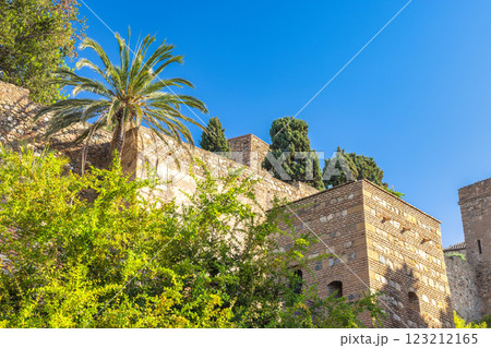 Alcazaba, palace and fortification in Malaga city at Andalusia, Spain, Europe. Ancient stone walls, lush greenery, and a palm tree under a bright blue sky. 123212165