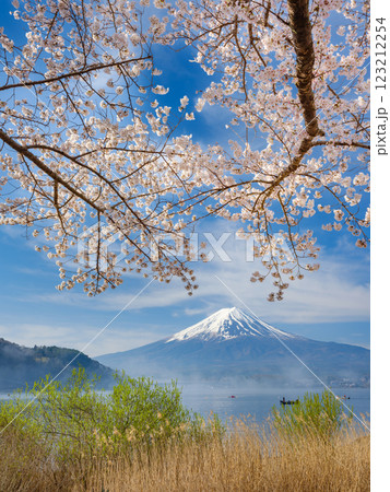 富士山_朝霧かかる河口湖と満開の桜の絶景風景 123212254